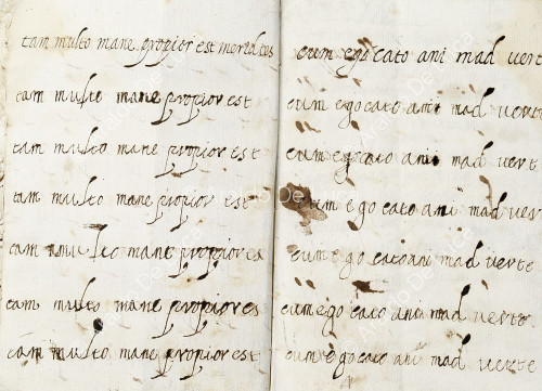Tagebuch der heiligen Jacinta Marescotti