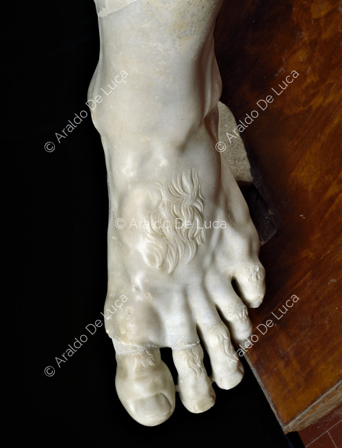 Left foot of Polyphemus