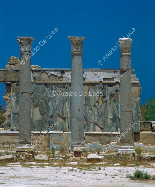 Colonnato tempio dei Severi