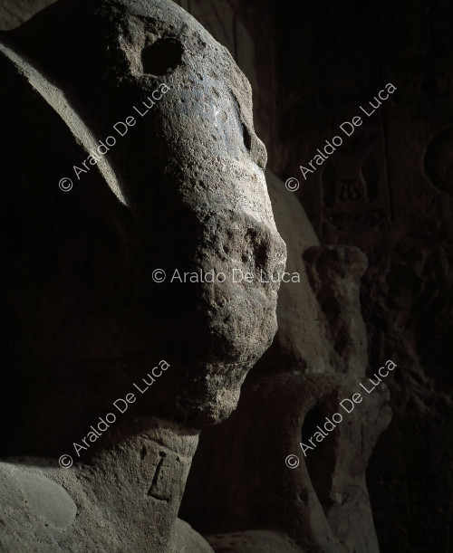 Il santuario interno di Abu Simbel: dettaglio di Ramesse II