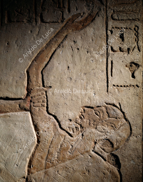 Detalle con enemigo de Ramsés II