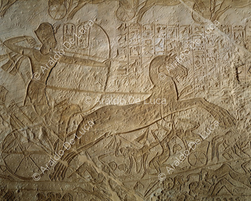 Battaglia di Qadesh. Ramesse II sul carro da guerra