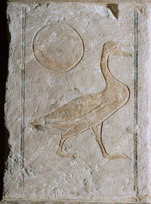 Détail avec des hiéroglyphes du temple de Ramsès II à Abou Simbel