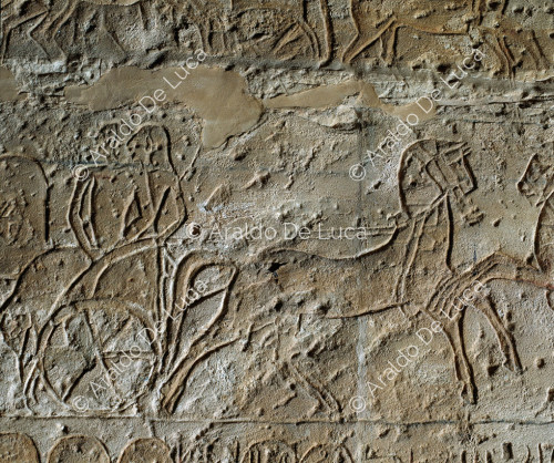 Mauer der Schlacht von Qadesh. Die Kavallerie des Pharao