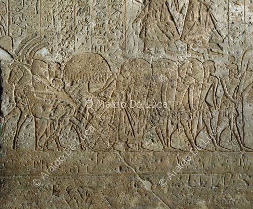 Mauer der Schlacht von Qadesch. Armee von Ramses II.