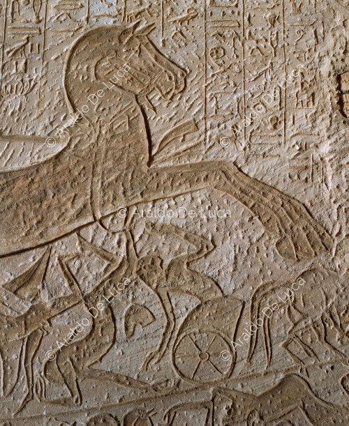 Schlacht von Qadesch: Feinde von Ramses II. besiegt