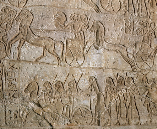Parete della battaglia di Qadesh. L'esercito di Ramesse II durante l'attacco