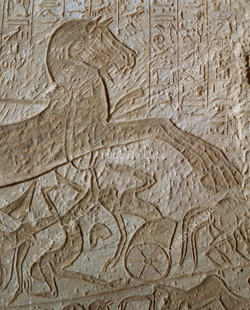 Bataille de Qadesh : défaite des ennemis de Ramsès II