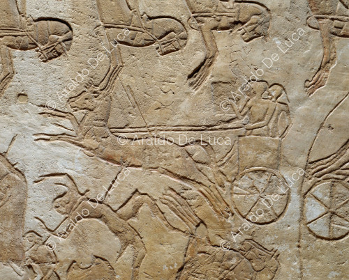 Battle of Qadesh: clash between Egyptian and Hittite chariots