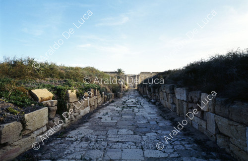 Decumano di Leptis Magna