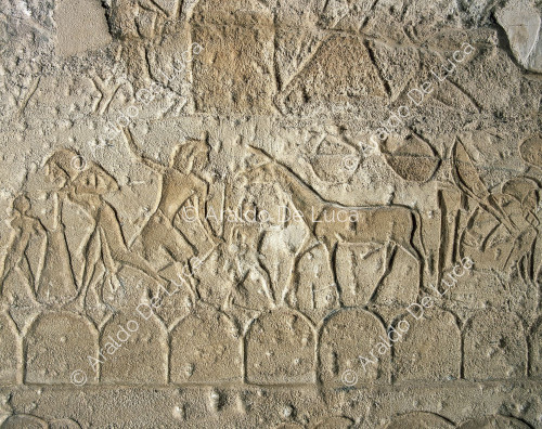 Tempio di Ramesse II. Battaglia di Quadesh. Particolare con soldati
