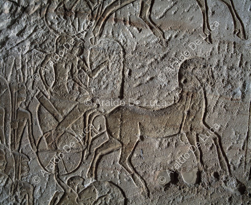 Temple de Ramsès II. Bataille de Quadesh. Détail avec des cavaliers