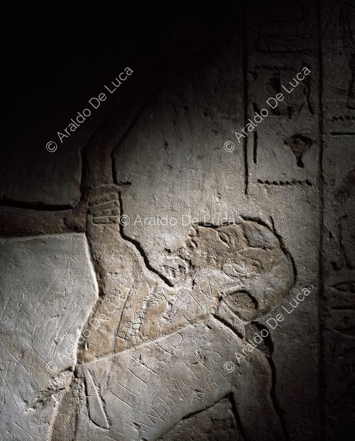 Tempio di Ramesse II. Decorazione parietale. Particolare con prigioniero libico