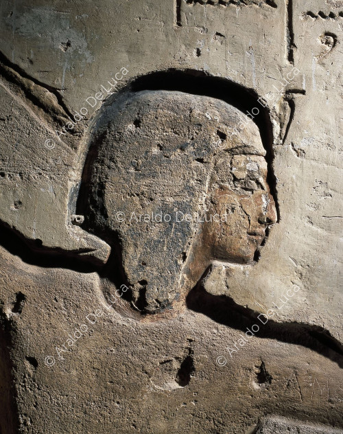 Temple of Ramesses II. Wall decoration. Detail with the pharaoh