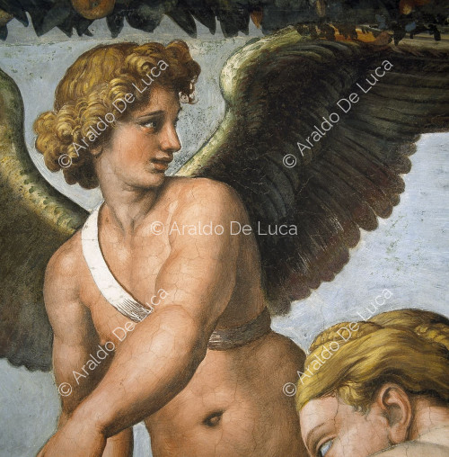 'Detalle de Cupido' Detalle de la Luneta con Cupido y las Tresa Gracias. Logia de Psiche
