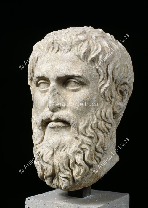 Testa di Platone
