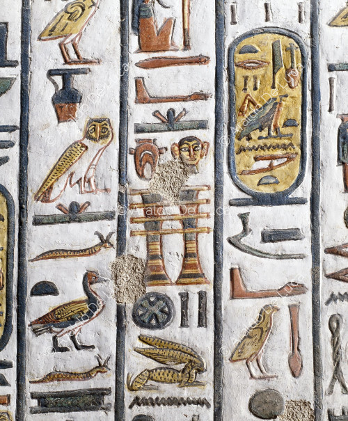 Detail of the texts inside the tomb of Nefertari