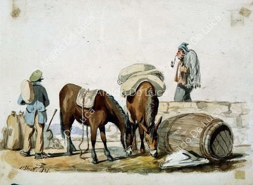 Men and mules