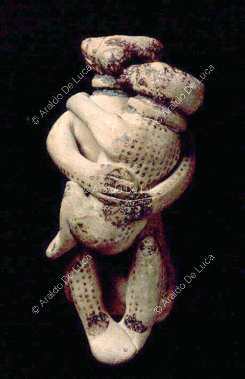 Monkey balsamarium with its baby