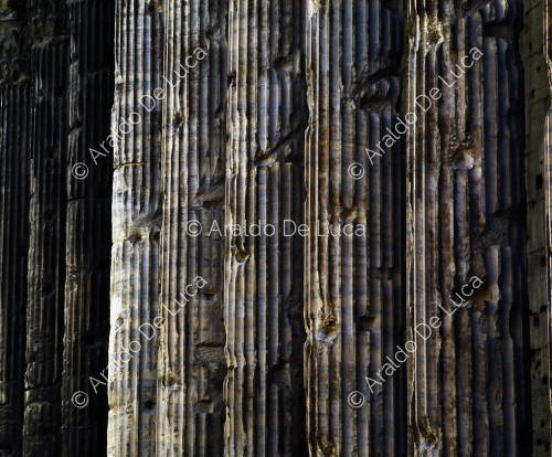 Tempio di Adriano, particolare delle colonne