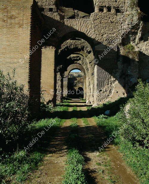 Arcos de cimentación del Belvedere Palatino