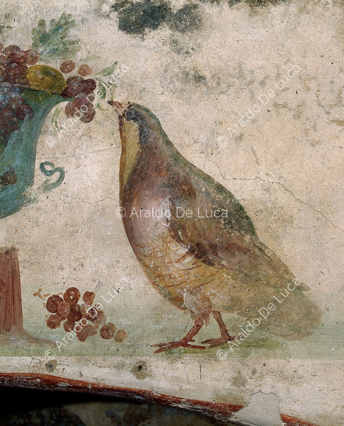 Cup with fruit and bird