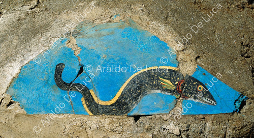 Fragment depicting a moray eel