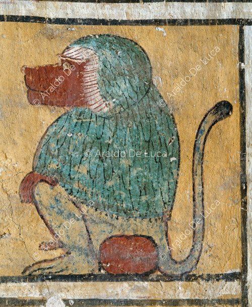 Amduat: baboon in hieratic pose