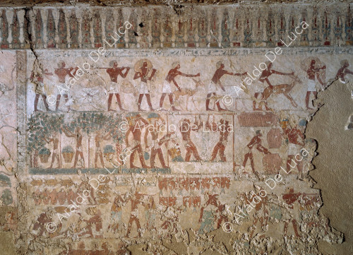 Tomb of Rekhmire. Detail with grape harvest scene