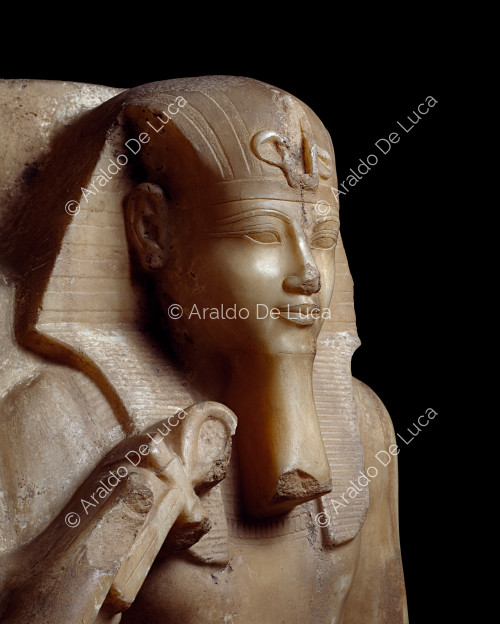Amenhotep III (particolare)