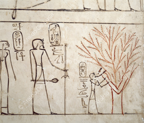 Thutmosis III. wird von Isis, der Göttin des Platanenbaums, gesäugt