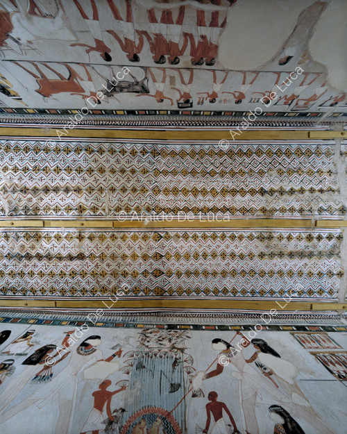 Plafond de la chambre longitudinale