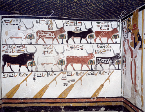 Néfertari vénérant sept vaches et un taureau