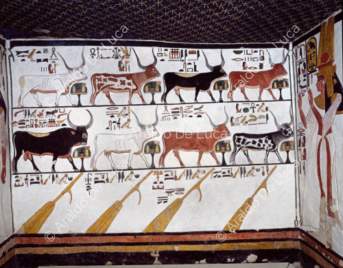 Nefertari, die sieben Kühe und einen Stier anbetet