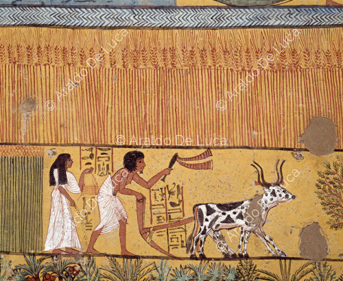  Sennedjem und seine Frau pflügen und säen die Felder von Iaru.