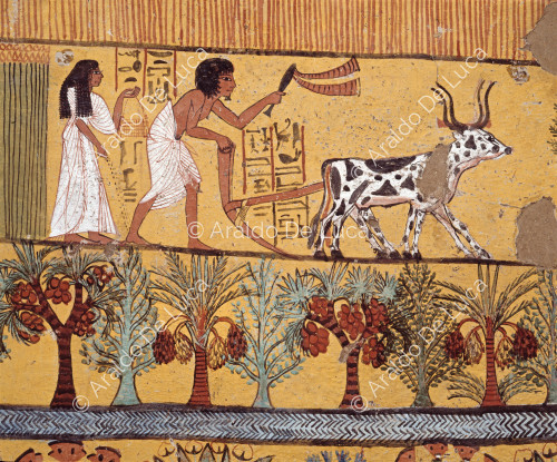  Sennedjem e la moglie arano e seminano i Campi di Iaru.