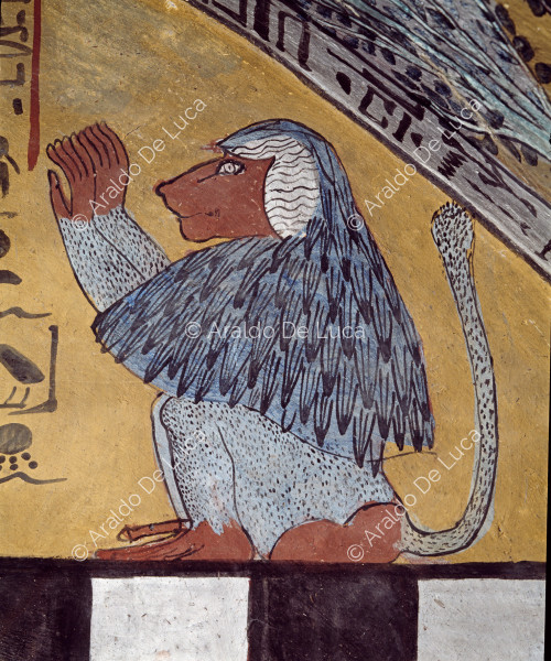 East wall of the burial chamber. Detail: baboon.