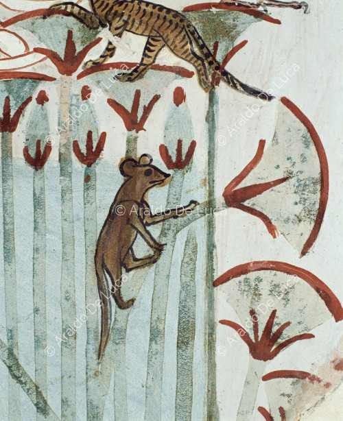 Rodent (detail)