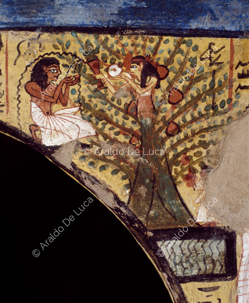 Pashedu venera a la diosa Nuez en un árbol.