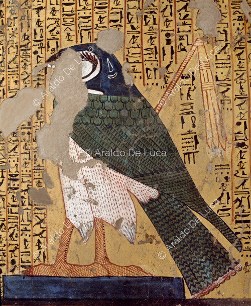 Horus falcone.