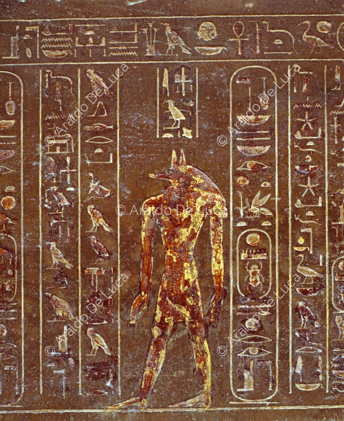 Sarcophage de Thoutmosis III : Anubis