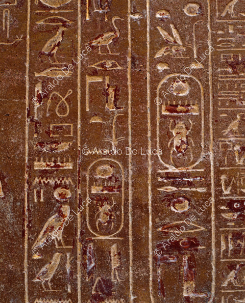 Sarcophage de Thoutmosis III : détail avec hiéroglyphes