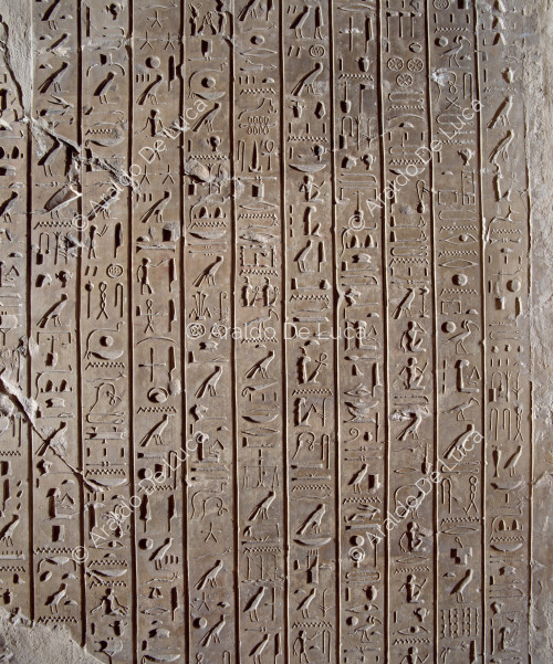 Hiéroglyphes (détail)