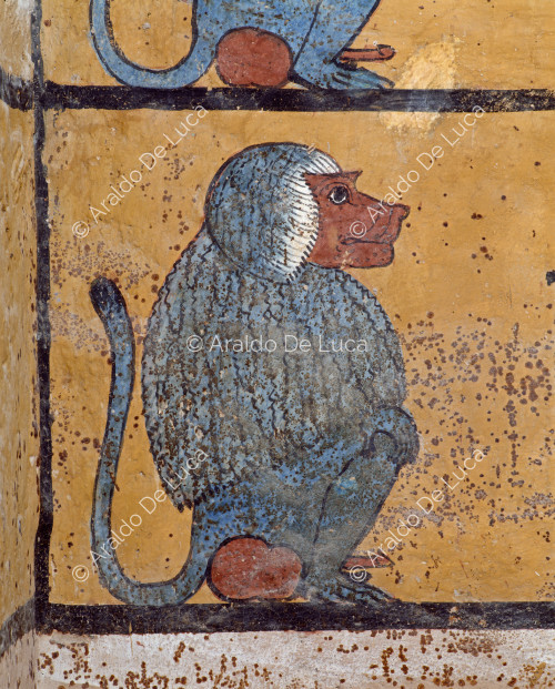 Sacred baboon. Detail