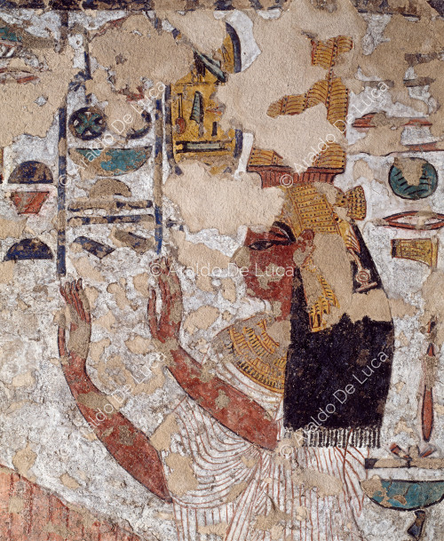 Adorer Néfertari
