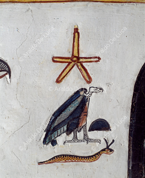 The four sons of Horus: detail of the name Duamutef