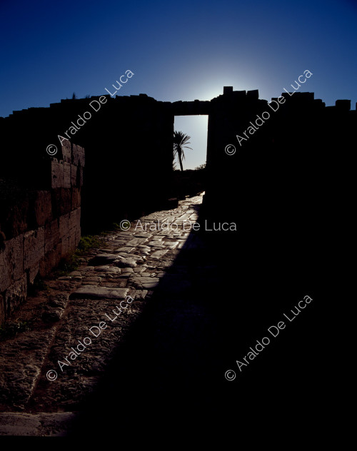 Leptis Magna, street