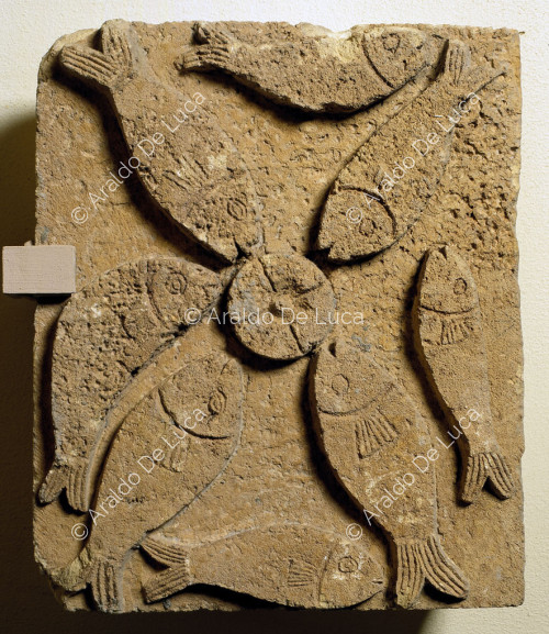 Relief with fish