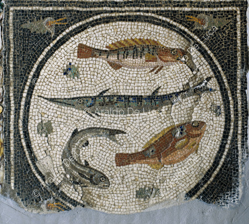 Gladiator mosaic. Emblem with marine fauna. Detail
