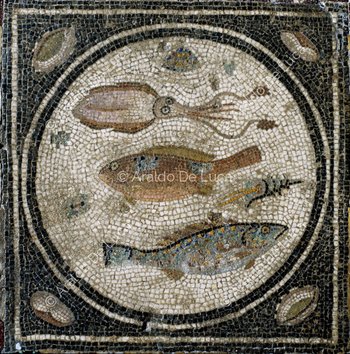Gladiator mosaic. Emblem with marine fauna. Detail